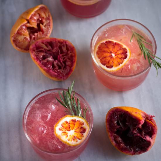 Blood orange gin and tonics - Recipe photo by figsandpigs