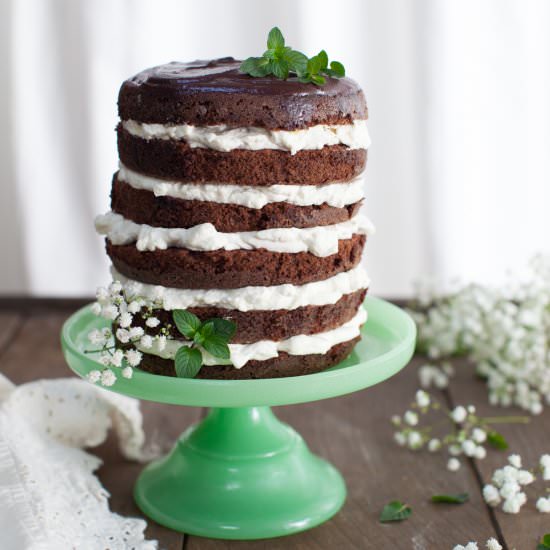 Chocolate Mint Cake - Recipe photo by beckysuebakes