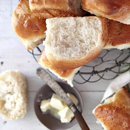 Super Soft Dinner Rolls - Recipe photo by openbook