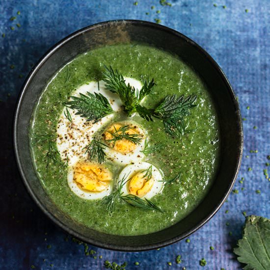 Nettle and Green Garlic Soup - Recipe photo by viktoriastable