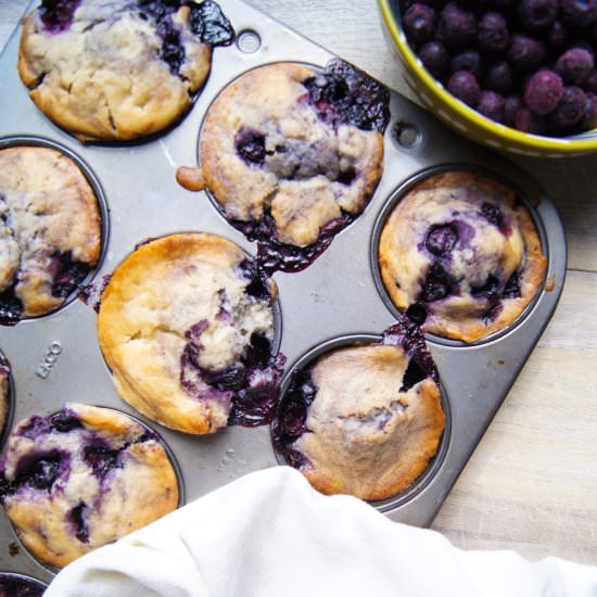Easy Vegan Blueberry Muffins - Recipe photo by veganmtnlife