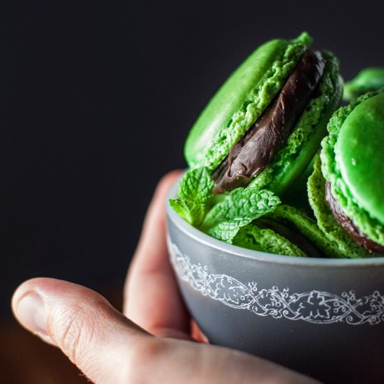 Mint Chocolate French Macarons - Recipe photo by cookiesforengland