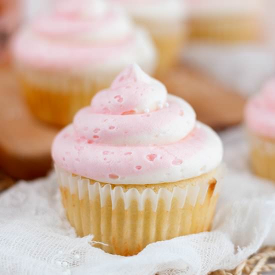 Champagne Cupcakes - Recipe photo by JennMeyering