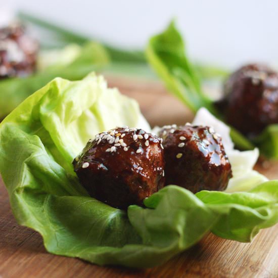 Hoisin Glazed Turkey Meatballs - Recipe photo by SimpleSassyScrumptious