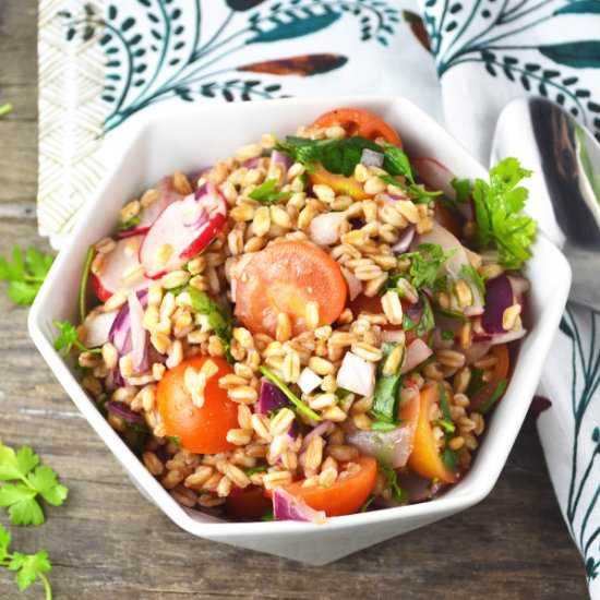 Farro Salad - Recipe photo by Inside the rustic kitchen
