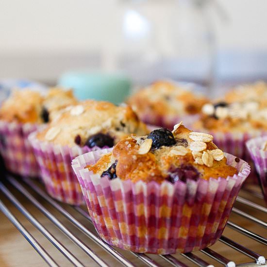 Very Easy Blueberry Muffins - Recipe photo by shift nutrition