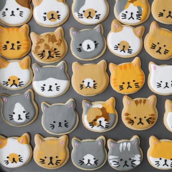 Kitty Cookies - Recipe photo by story