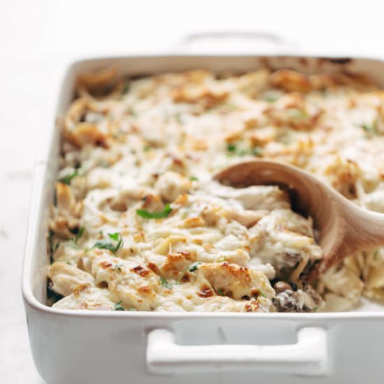 Chicken Tetrazzini - Recipe photo by pinchofyum