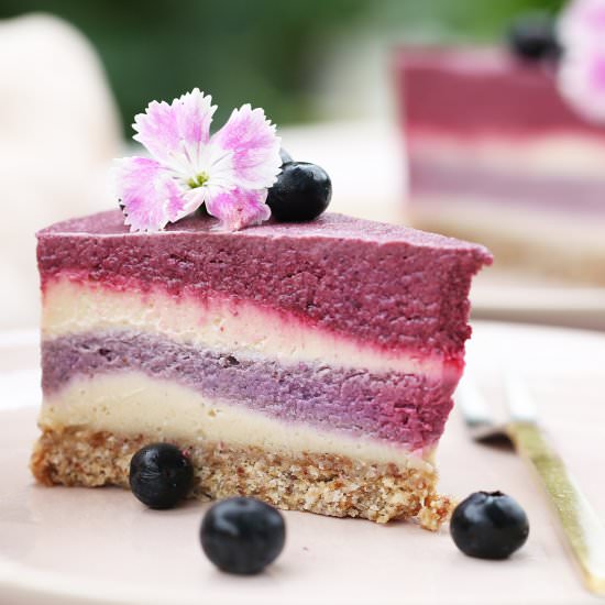 Beetroot & Blueberry Cheesecake - Recipe photo by begoodorganics