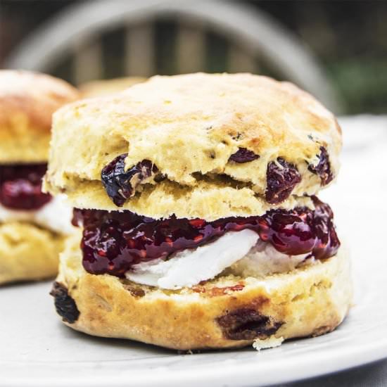 Vegan Cranberry Scones - Recipe photo by myvibrantkitchen
