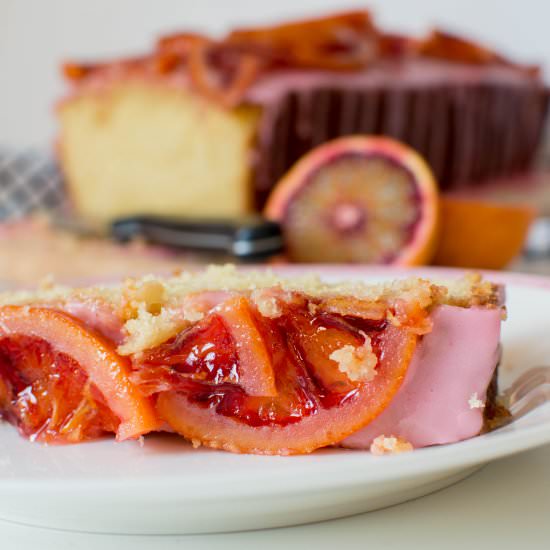 Blood Orange Drizzle Cake - Recipe photo by kayskitchen