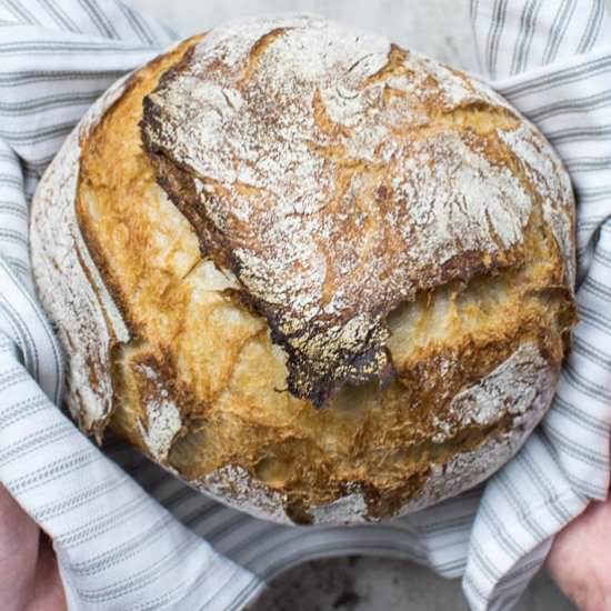 No-Knead Bread Two Ways - Recipe photo by crumbkitchen