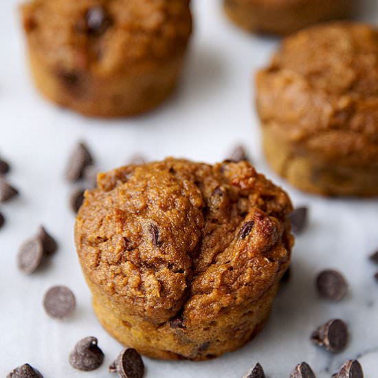 Pumpkin chocolate chip muffins - Recipe photo by evabakes
