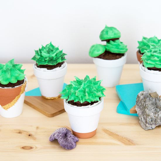 Vegan Meringue Succulent Cupcakes - Recipe photo by seitanbeatsyourmeat