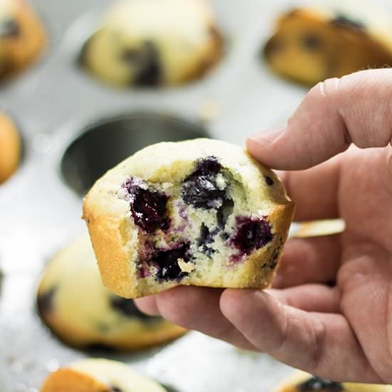 Easy Blueberry Muffins - Recipe photo by TheSaltyMarshmallow