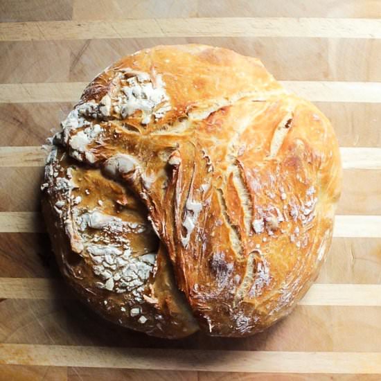 Crusty Homemade Bread - Recipe photo by Lisa G Cooks