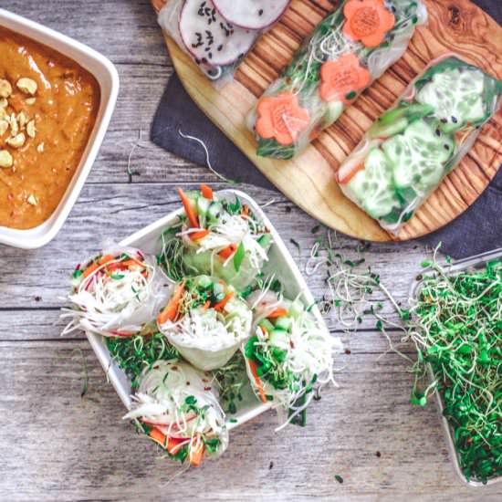 Veg Summer Rolls + Peanut Sauce - Recipe photo by killingthyme