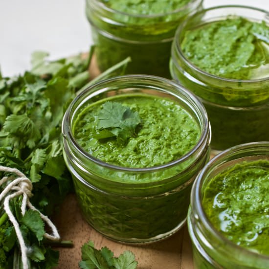 Cilantro Garlic Chutney - Recipe photo by my berkeley kitchen