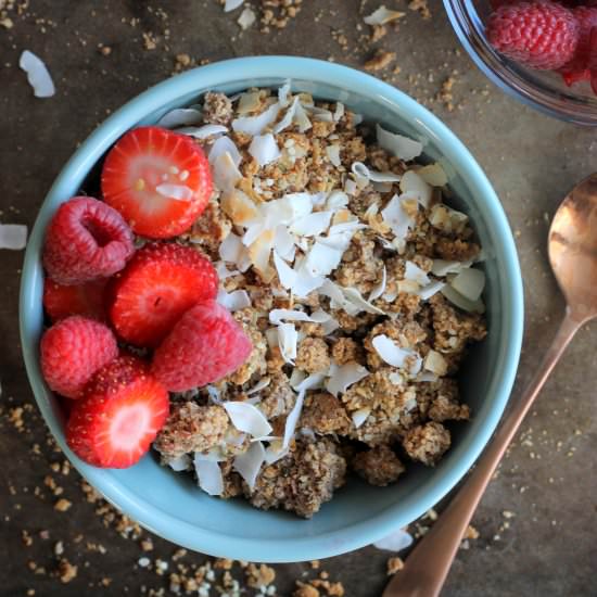 Grain Free Coconut Granola - Recipe photo by organicallymandy