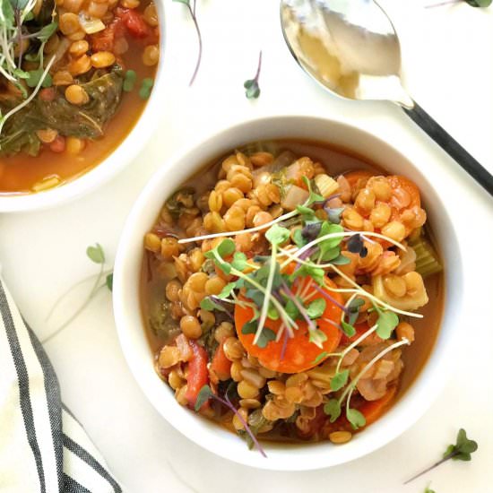 Hearty Vegetable Lentil Soup - Recipe photo by makingsof