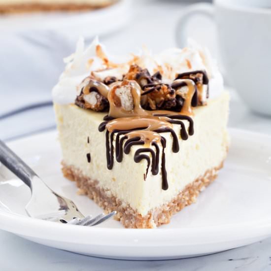 Samoa Cheesecake - Recipe photo by mybakingaddiction