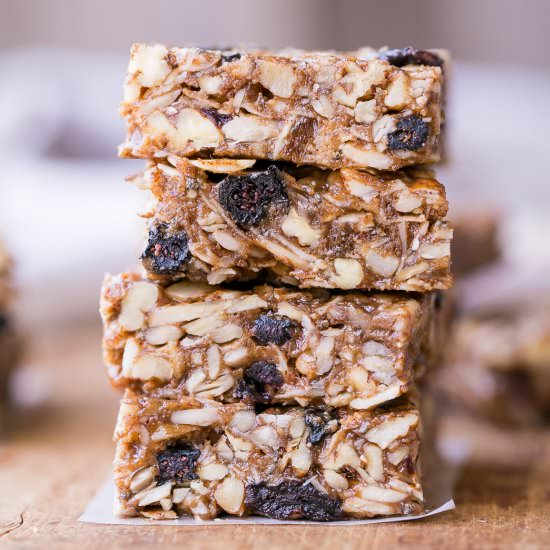Trail Mix Granola Bars - Recipe photo by bakerita