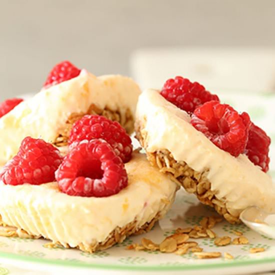 Peach Melba Frozen Yogurt Bites - Recipe photo by The Harvest Kitchen