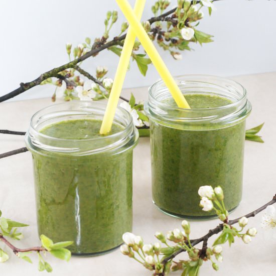 Cocktail with Green Barley Grass - Recipe photo by FitSweet