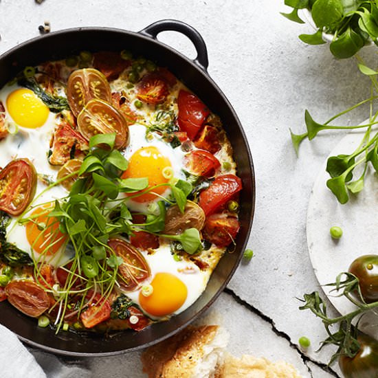 Breakfast Tomato Shakshuka - Recipe photo by sabrinasue