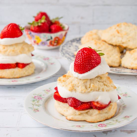 Homemade Strawberry Shortcake - Recipe photo by littlesweetbaker