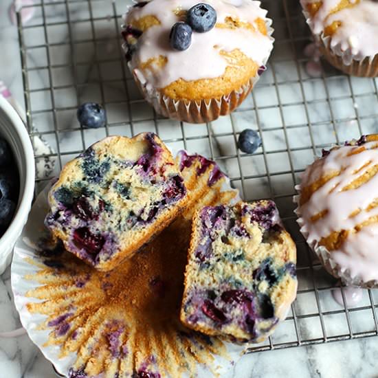 Yogurt Glazed Blueberry Muffins - Recipe photo by suebeehomemaker
