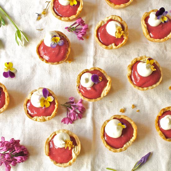 plum & elderberry curd tartlets - Recipe photo by wherethewildcakegrows