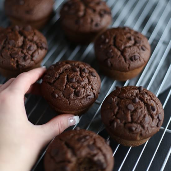 Healthy Double Chocolate Chip Muffins - Recipe photo by TwoRaspberries