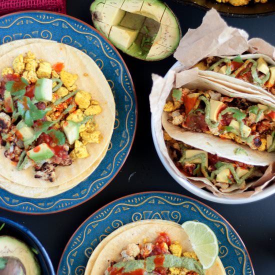 Vegan Breakfast Tacos - Recipe photo by pasta-based