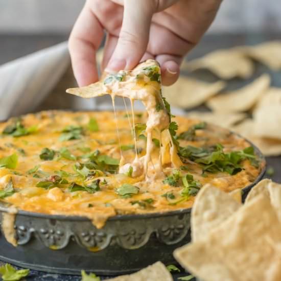 Green Chile Chicken Enchilada Dip - Recipe photo by the cookie rookie