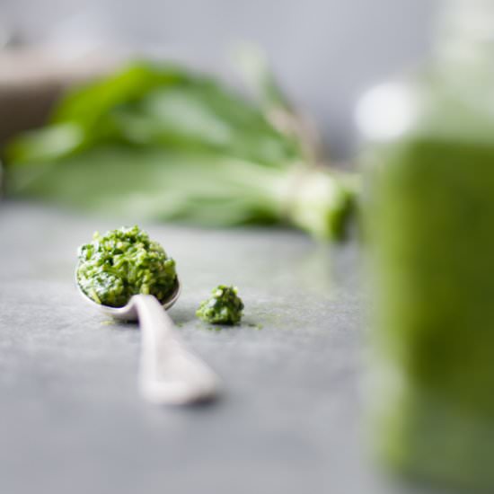Wild Garlic Pesto - Recipe photo by healthylaura