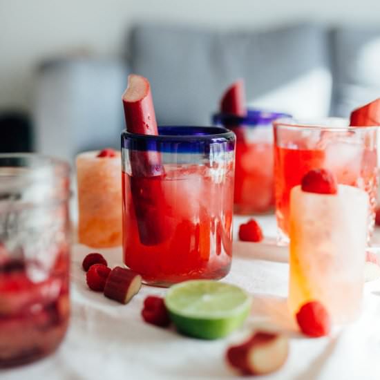 Raspberry Rhubarb Margarita - Recipe photo by by gabriella