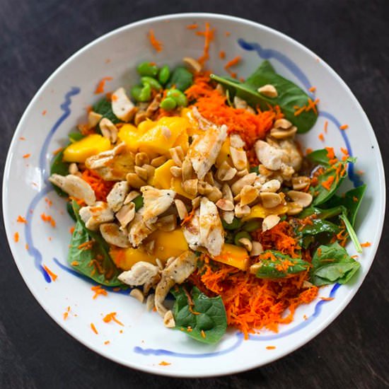 Sesame Ginger Chicken Salad - Recipe photo by Kiwi and Carrot