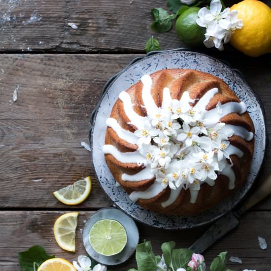 Lemon Drizzle bundt cake - Recipe photo by TheLittlePlantation