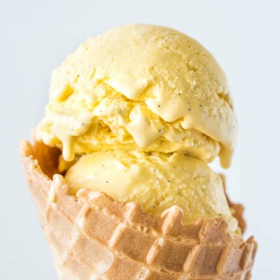 Homemade Vanilla Bean Ice Cream - Recipe photo by Shineshka