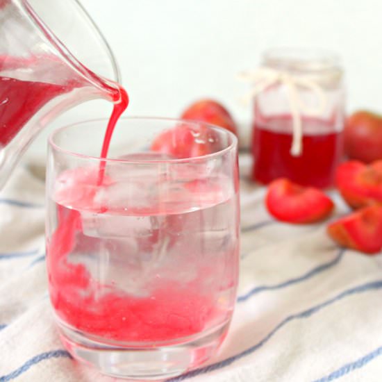 Plum Syrup & Jam - Recipe photo by Miamivores