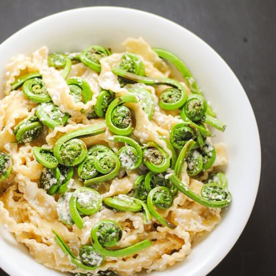 Fiddleheads with pasta and ricotta - Recipe photo by white plate blank slate