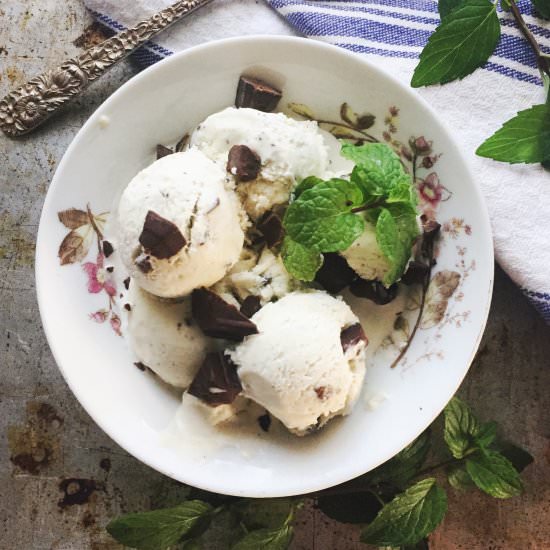Fresh Mint Chocolate Chip Ice Cream - Recipe photo by citysupperclub