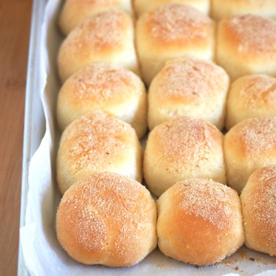 Pandesal (Filipino Bread Rolls) - Recipe photo by Woman Scribbles