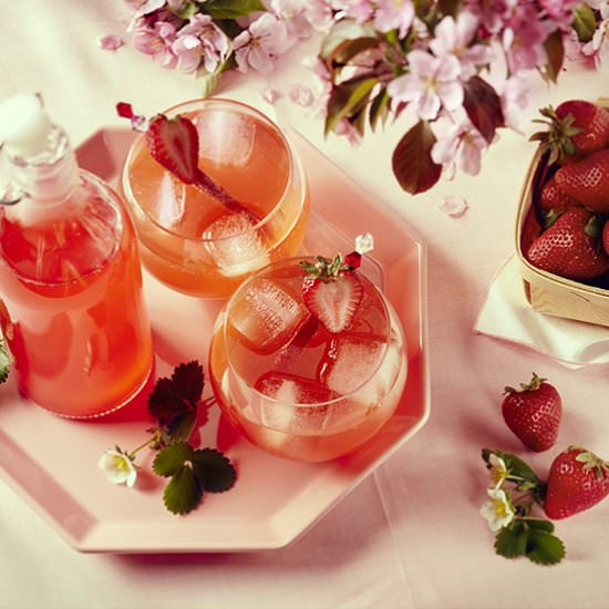 strawberry rhubarb shrub - Recipe photo by Photoappetite