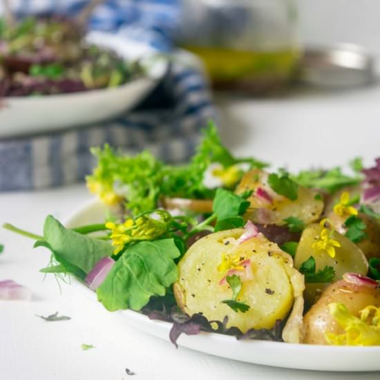 Spring Greens & New Potato Salad - Recipe photo by thelastcookie