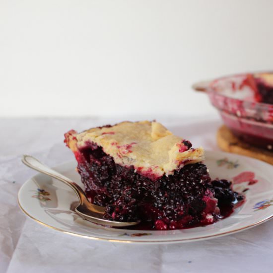 Wild Blackberry Pie - Recipe photo by akitchenfable