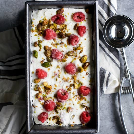 Pistachio Raspberry Frozen Yogurt - Recipe photo by joyfulhealthyeats