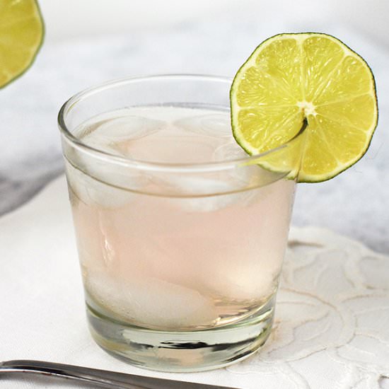 Rhubarb Lime Sparkling Cocktail - Recipe photo by alisonsallspice