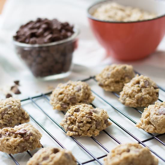 Oatmeal chocolate chip cookies - Recipe photo by livelymess